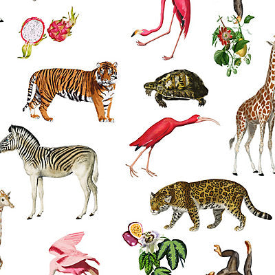 Nicolette Mayer Wallcovering, a selection of wallpaper such as Bird , Animal/Insect.