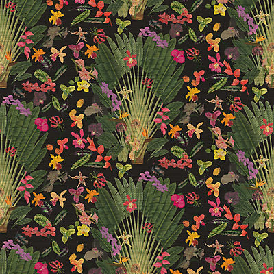 Nicolette Mayer Wallcovering, a selection of wallpaper such as Botanical , Foliage,Floral.