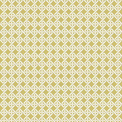 Nicolette Mayer Wallcovering, a selection of wallpaper such as Fretwork , Lattice.