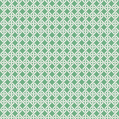 Nicolette Mayer Wallcovering, a selection of wallpaper such as Fretwork , Lattice.