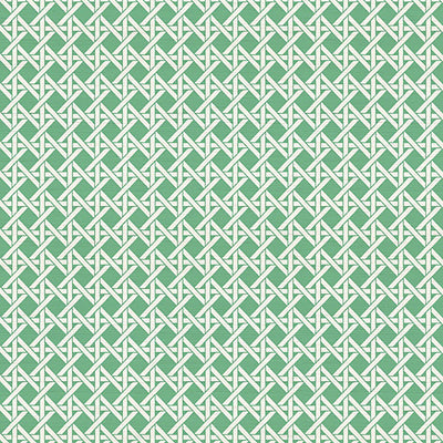 NICOLETTE MAYER WALLCOVERING-WNM0004DEVO-DEVON WEAVE-TROUSDALE