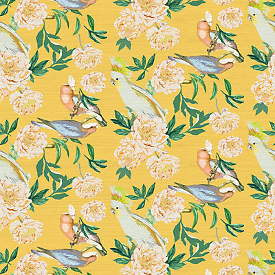 Nicolette Mayer Wallcovering, a selection of wallpaper such as Bird , Animal/Insect,Botanical , Foliage,Floral.