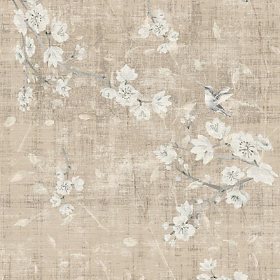 Nicolette Mayer Wallcovering, a selection of wallpaper such as Bird , Animal/Insect,Floral.