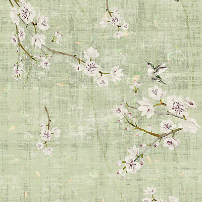 Nicolette Mayer Wallcovering, a selection of wallpaper such as Bird , Animal/Insect,Floral.