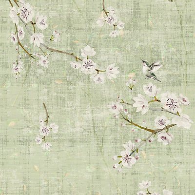 NICOLETTE MAYER WALLCOVERING-WNM1055BLOS-BLOSSOM FANTASIA-CELADON