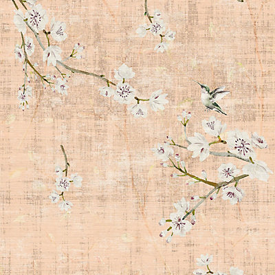 Nicolette Mayer Wallcovering, a selection of wallpaper such as Bird , Animal/Insect,Floral.