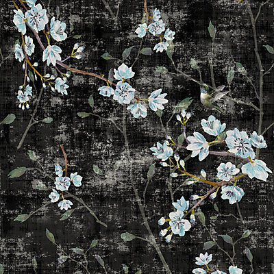 Nicolette Mayer Wallcovering, a selection of wallpaper such as Bird , Animal/Insect,Floral.