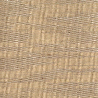 SCALAMANDRE WALLCOVERING-WRK5950CURT-CURTIS WEAVE-SAND
