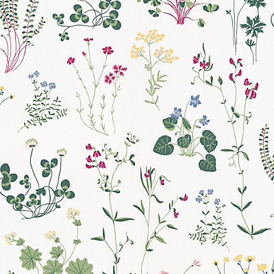 Sandberg Wallcovering, a selection of wallpaper such as Botanical , Foliage,Floral.