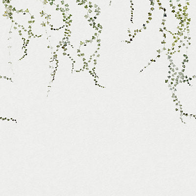 Sandberg Wallcovering, a selection of wallpaper such as Floral.