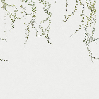 SANDBERG WALLCOVERING-WSB00040640-ARALIA-MURAL-GREEN