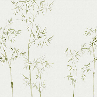 Sandberg Wallcovering, a selection of wallpaper such as Botanical , Foliage.