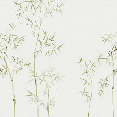 SANDBERG WALLCOVERING-WSB00060645-ARASHIYAMA - MURAL-GREEN