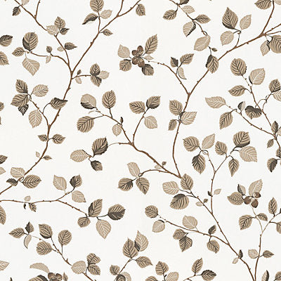 Sandberg Wallcovering, a selection of wallpaper such as Botanical , Foliage.