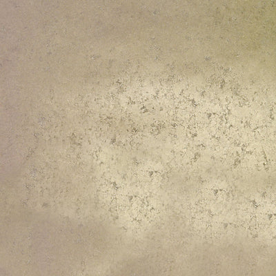 SCALAMANDRE WALLCOVERING-WTOML295-HAND HAMMERED LEAF-NICKEL