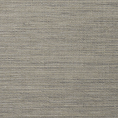 SCALAMANDRE WALLCOVERING-WTT641082-CASALIN-BLUE MIST