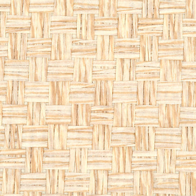 SCALAMANDRE WALLCOVERING-WTW0418MOCC-MOCCASIN WEAVE-CREAM