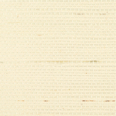 SCALAMANDRE WALLCOVERING-WTW0446SIMP-SIMPLY SISAL-SNOW