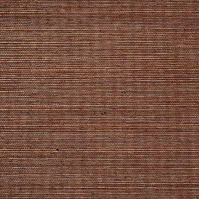 SCALAMANDRE WALLCOVERING-WTWGT3906-ORGANIC SISAL-BRUSH
