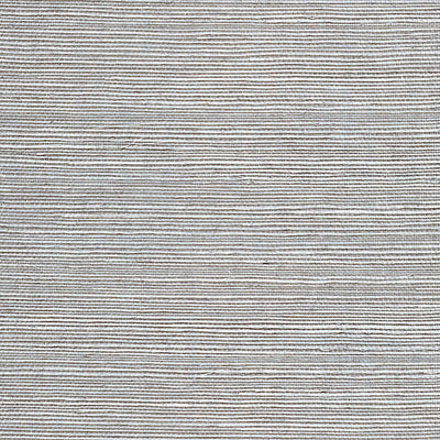 SCALAMANDRE WALLCOVERING-WTWGT3927-ORGANIC SISAL-SLATE