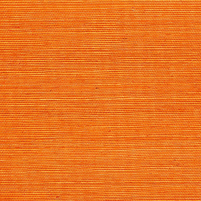 SCALAMANDRE WALLCOVERING-WTWGT3933-ORGANIC SISAL-FLAME