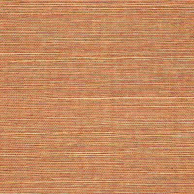 SCALAMANDRE WALLCOVERING-WTWGT3934-ORGANIC SISAL-JAVA