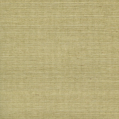 SCALAMANDRE WALLCOVERING-WTWGT3951-ORGANIC SISAL-SPRINGTIME