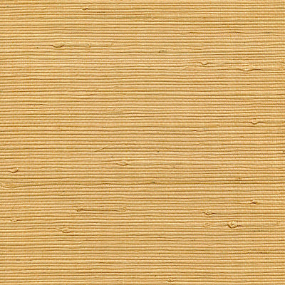 SCALAMANDRE WALLCOVERING-WTWGT3959-ORGANIC JUTE-MAIZE