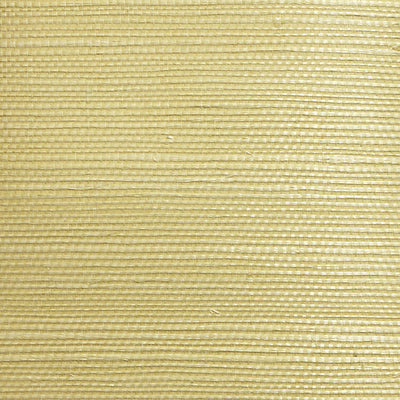 SCALAMANDRE WALLCOVERING-WTWGT3964-ORGANIC SISAL-LEAF