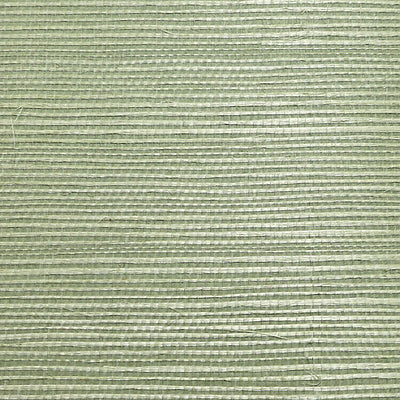 SCALAMANDRE WALLCOVERING-WTWGT3969-ORGANIC SISAL-SEA GLASS