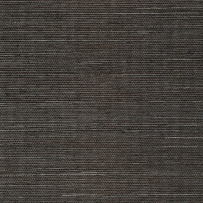 SCALAMANDRE WALLCOVERING-WTWGT3973-ORGANIC SISAL-ONYX