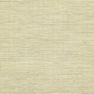 SCALAMANDRE WALLCOVERING-WTWGT3977-ORGANIC SISAL-SEA SPRAY