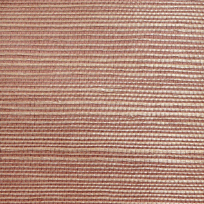 SCALAMANDRE WALLCOVERING-WTWGT3978-ORGANIC SISAL-EARTH