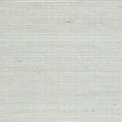 SCALAMANDRE WALLCOVERING-WTWGT3980-ORGANIC SISAL-REFRESH