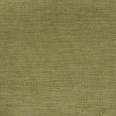 Greenhouse Fabrcs, a selection of fabrics such as  Velvet,Texture,Solid.