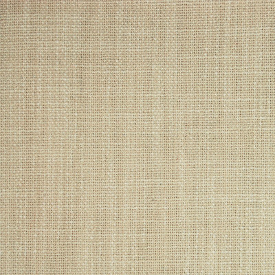 Greenhouse Fabrcs, a selection of fabrics such as  Solid.