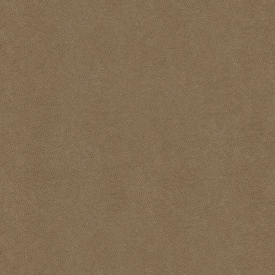 KRAVET FABRICS - ABILENE - STONE