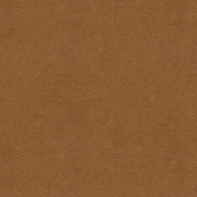 KRAVET FABRICS - ABILENE - BISCUIT