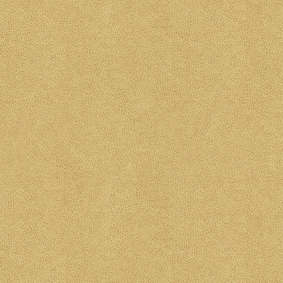 KRAVET FABRICS - ABILENE - DUNE