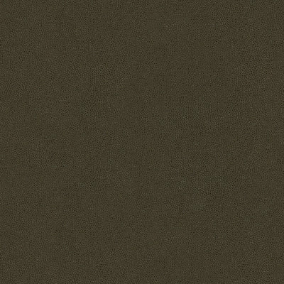 KRAVET FABRICS - ABILENE - STALLION