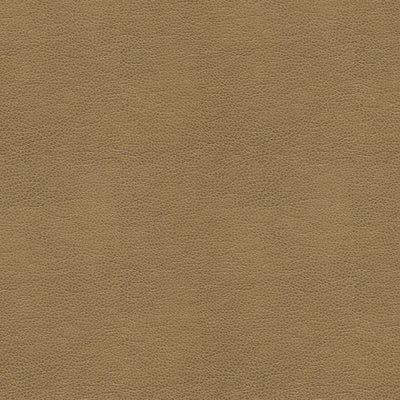 Kravet Fabrics, a selection of fabrics such as velvet, damask, cotton, silk, linen and sheers.