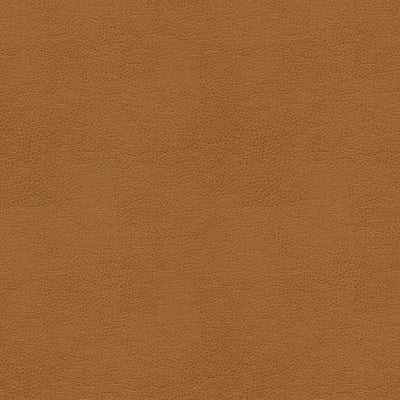 KRAVET FABRICS - BALARA-16