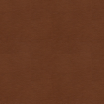 KRAVET FABRICS - BALARA-6