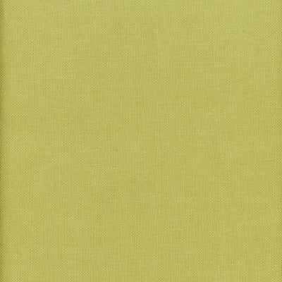 KRAVET COUTURE-BEAGLE-323
