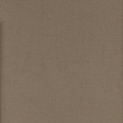 KRAVET COUTURE-BEAGLE-6
