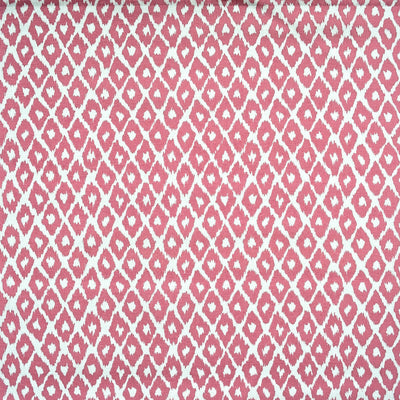 KRAVET COUTURE-GYPSUM OUTDOOR-17