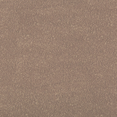 KRAVET FABRICS - AMES - QUARTZ
