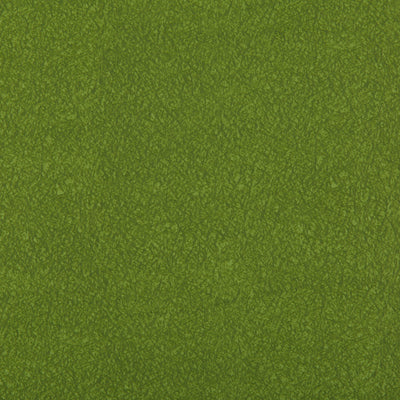 KRAVET FABRICS - AMES - MOSS