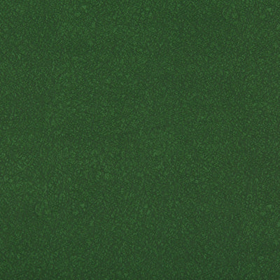 KRAVET FABRICS - AMES - FOREST