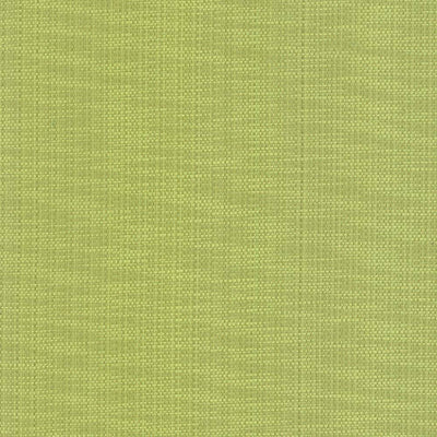KASMIR FABRICS-AVINO - ENDIVE
